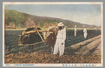 朝鮮風俗） 鮮人の農業 NO.4 | 朝鮮写真絵はがき